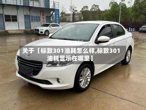 关于【标致301油耗怎么样,标致301油耗显示在哪里】