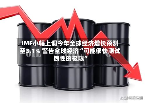 IMF小幅上调今年全球经济增长预测至3.1% 警告全球经济“可能很快测试韧性的极限”-第2张图片