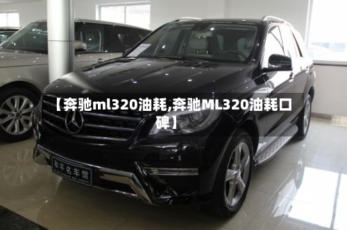 【奔驰ml320油耗,奔驰ML320油耗口碑】-第2张图片