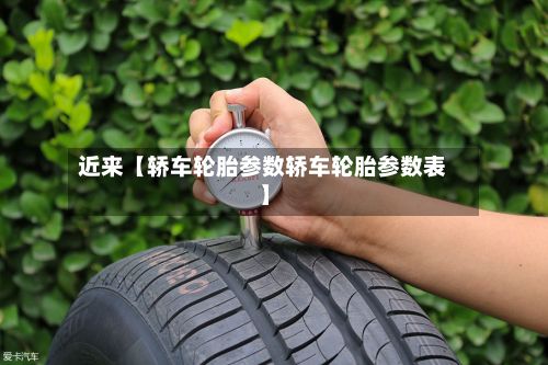 近来【轿车轮胎参数轿车轮胎参数表】