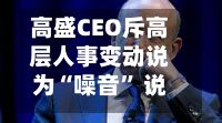 高盛CEO斥高层人事变动说为“噪音” 说没有交班时间表-第2张图片