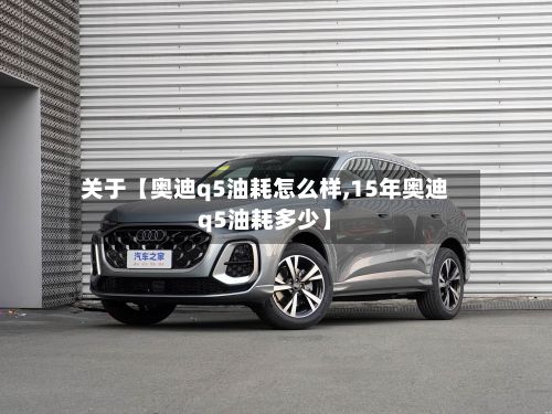 关于【奥迪q5油耗怎么样,15年奥迪q5油耗多少】-第2张图片