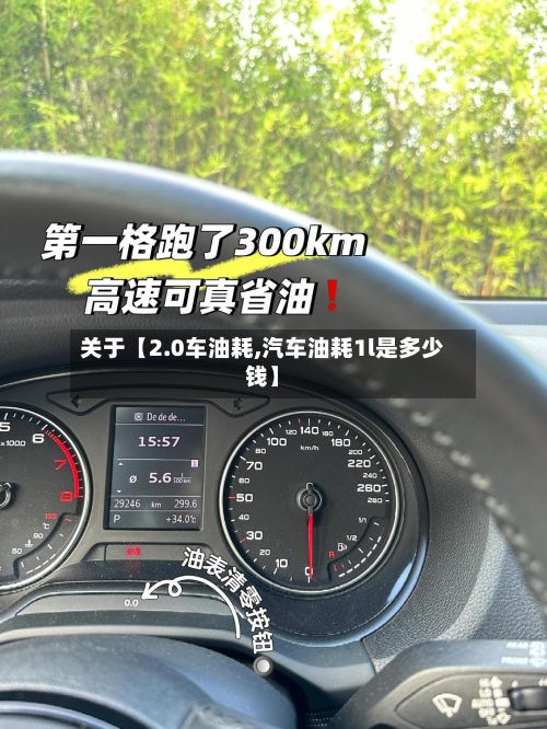 关于【2.0车油耗,汽车油耗1l是多少钱】-第2张图片