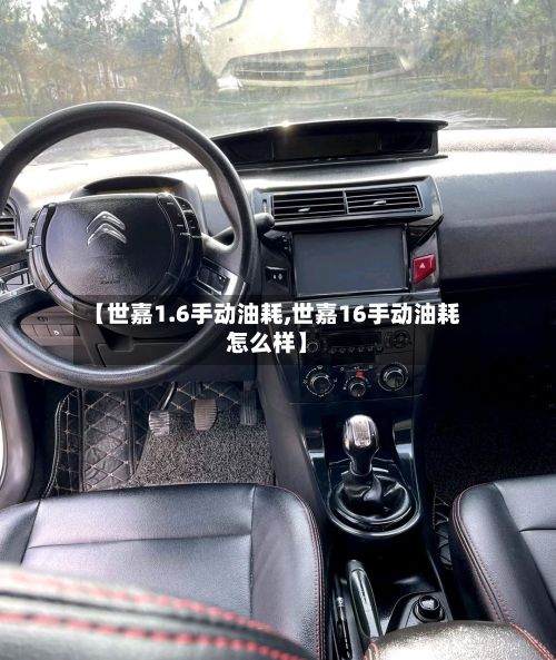 【世嘉1.6手动油耗,世嘉16手动油耗怎么样】