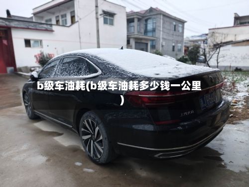 b级车油耗(b级车油耗多少钱一公里)-第2张图片