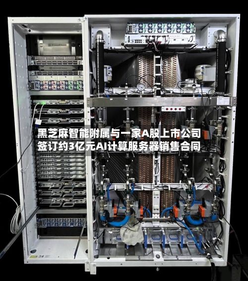 黑芝麻智能附属与一家A股上市公司签订约3亿元AI计算服务器销售合同-第2张图片