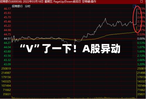 “V”了一下！A股异动-第2张图片