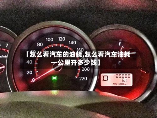 【怎么看汽车的油耗,怎么看汽车油耗一公里开多少钱】-第2张图片