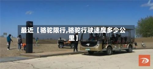 最近【骆驼限行,骆驼行驶速度多少公里】