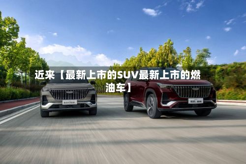 近来【最新上市的SUV最新上市的燃油车】-第2张图片