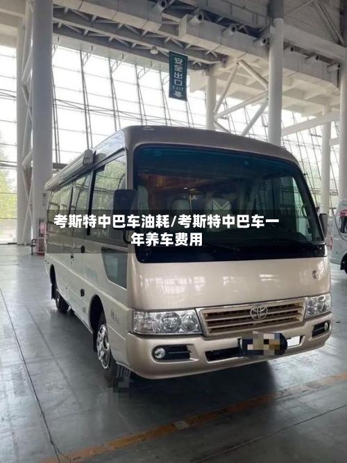 考斯特中巴车油耗/考斯特中巴车一年养车费用-第2张图片