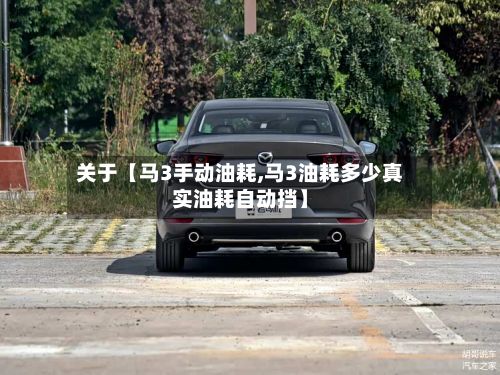 关于【马3手动油耗,马3油耗多少真实油耗自动挡】-第2张图片