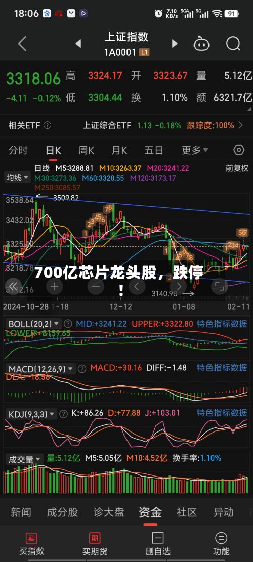 700亿芯片龙头股，跌停！-第3张图片