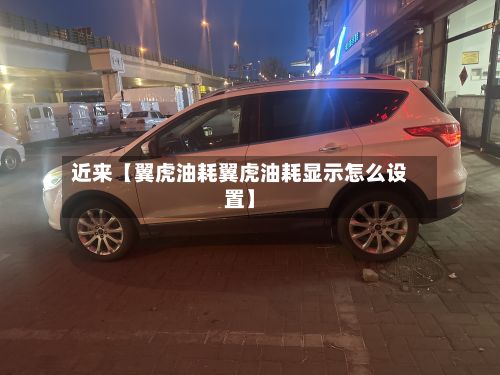 近来【翼虎油耗翼虎油耗显示怎么设置】