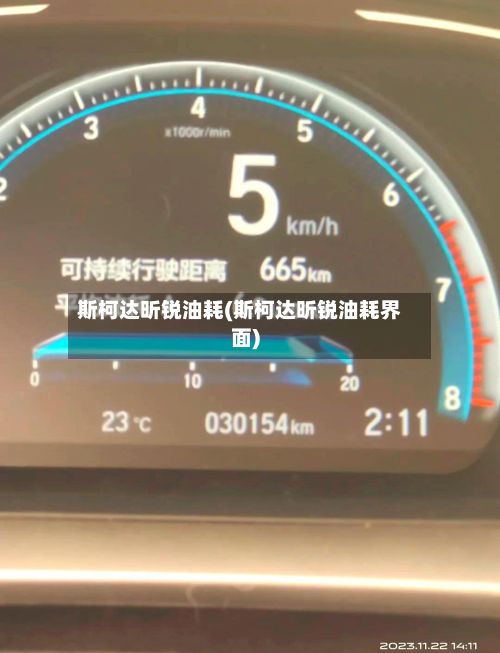 斯柯达昕锐油耗(斯柯达昕锐油耗界面)