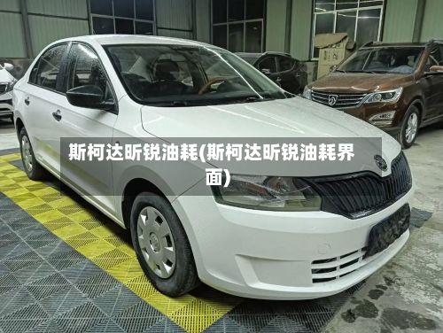 斯柯达昕锐油耗(斯柯达昕锐油耗界面)-第2张图片