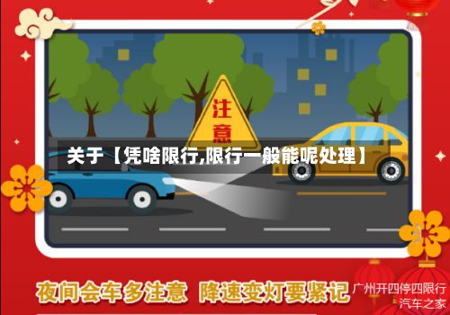 关于【凭啥限行,限行一般能呢处理】-第3张图片