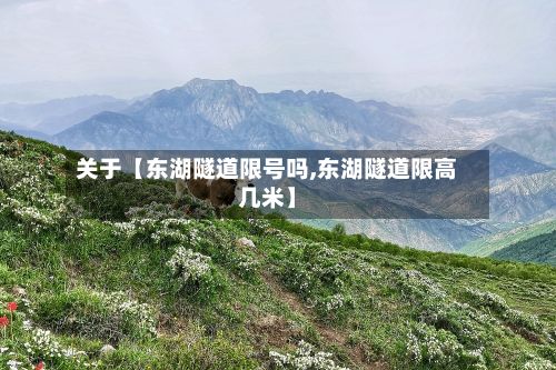 关于【东湖隧道限号吗,东湖隧道限高几米】-第2张图片