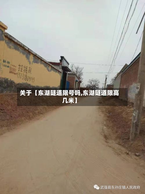 关于【东湖隧道限号吗,东湖隧道限高几米】-第3张图片