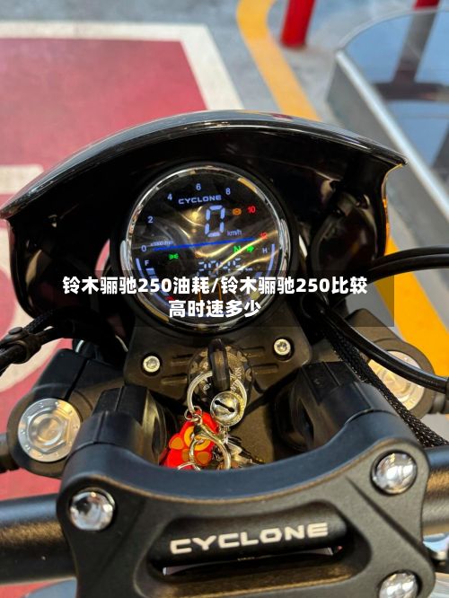 铃木骊驰250油耗/铃木骊驰250比较高时速多少