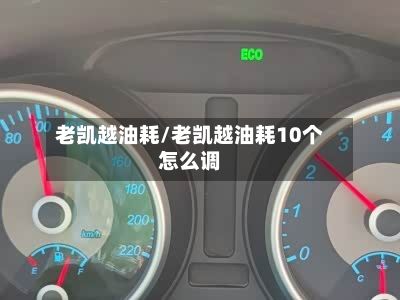 老凯越油耗/老凯越油耗10个怎么调