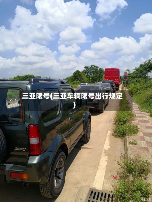 三亚限号(三亚车辆限号出行规定)-第3张图片