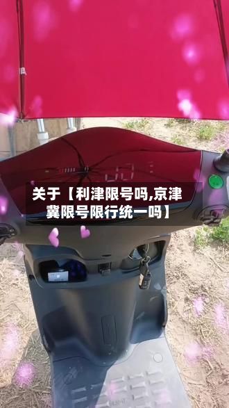 关于【利津限号吗,京津冀限号限行统一吗】-第3张图片