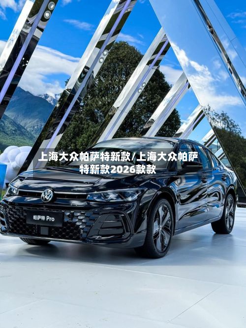 上海大众帕萨特新款/上海大众帕萨特新款2026款款