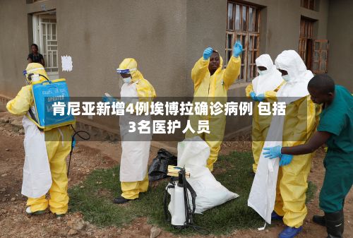 肯尼亚新增4例埃博拉确诊病例 包括3名医护人员-第2张图片