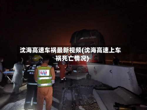 沈海高速车祸最新视频(沈海高速上车祸死亡情况)