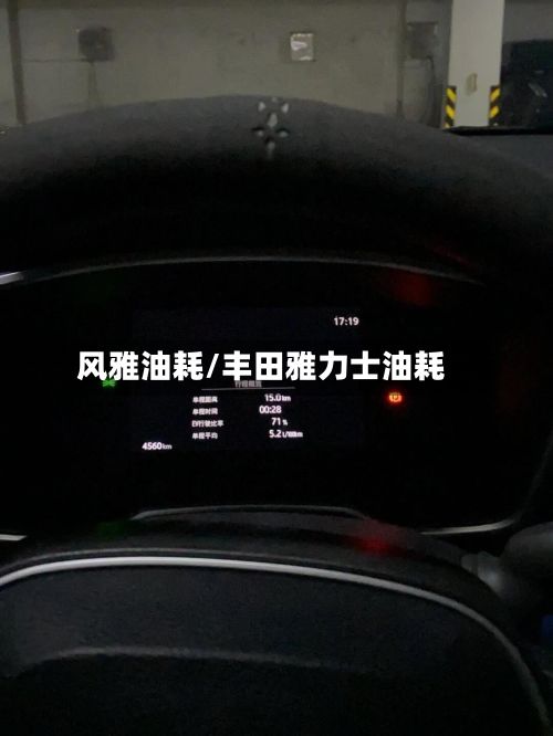 风雅油耗/丰田雅力士油耗-第2张图片