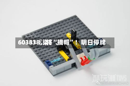 60351〖柒〗、603838，将“摘帽”！明日停牌
