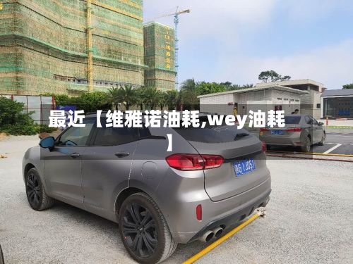 最近【维雅诺油耗,wey油耗】-第3张图片