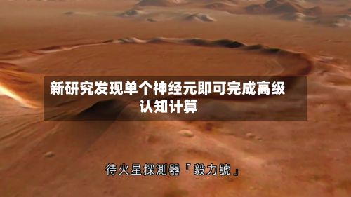 新研究发现单个神经元即可完成高级认知计算