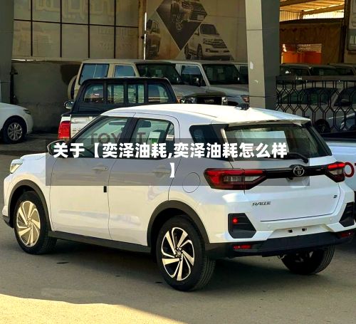 关于【奕泽油耗,奕泽油耗怎么样】-第2张图片