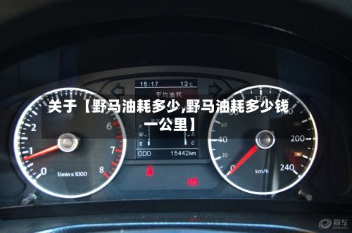 关于【野马油耗多少,野马油耗多少钱一公里】