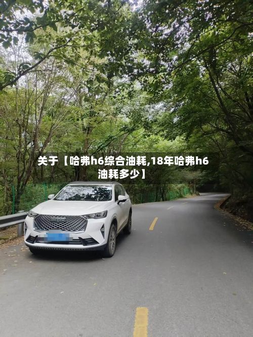 关于【哈弗h6综合油耗,18年哈弗h6油耗多少】-第3张图片