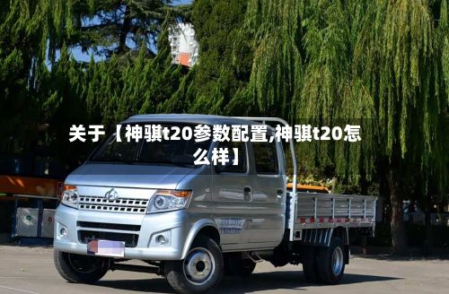 关于【神骐t20参数配置,神骐t20怎么样】-第2张图片