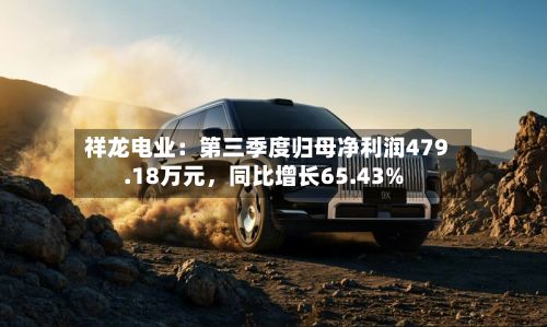 祥龙电业：第三季度归母净利润479.18万元，同比增长65.43%-第2张图片