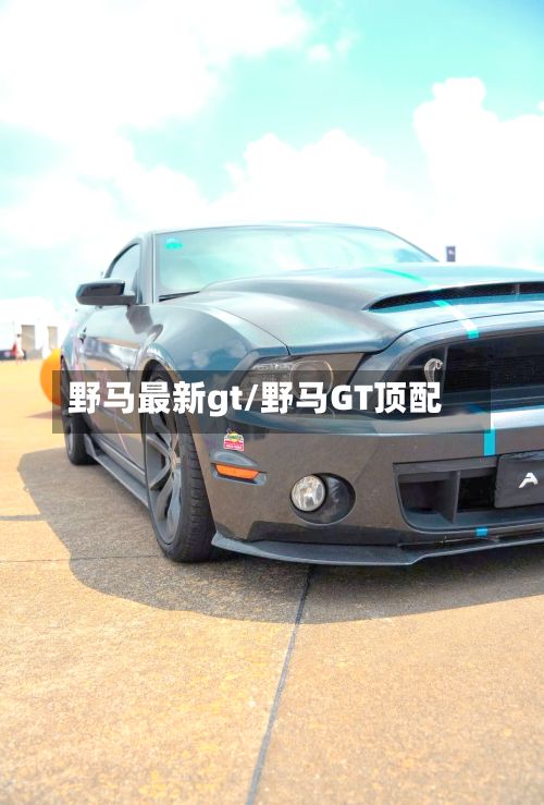 野马最新gt/野马GT顶配