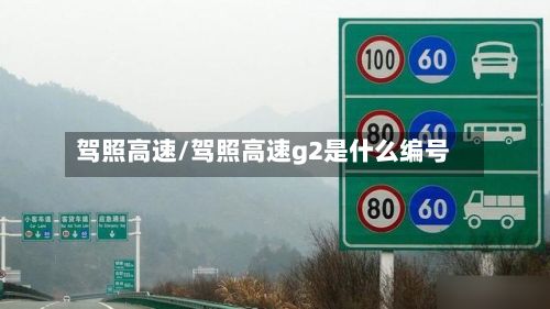 驾照高速/驾照高速g2是什么编号-第3张图片