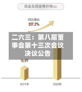 二六三：第八届董事会第十三次会议决议公告