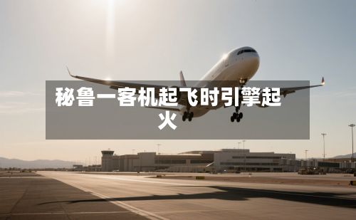 秘鲁一客机起飞时引擎起火-第2张图片