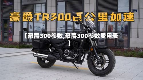 【豪爵300参数,豪爵300参数费用表】-第2张图片