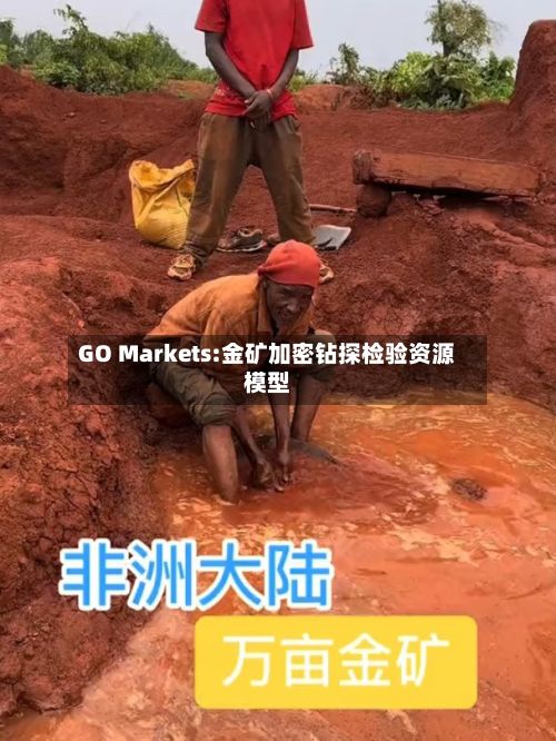 GO Markets:金矿加密钻探检验资源模型-第2张图片