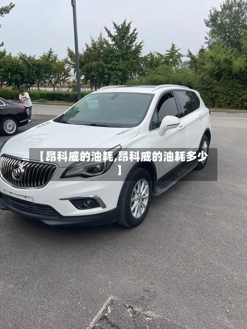 【昂科威的油耗,昂科威的油耗多少】-第2张图片