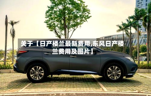 关于【日产楼兰最新费用,东风日产楼兰费用及图片】-第2张图片