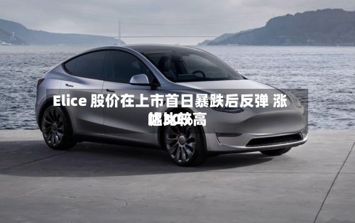 Elice 股价在上市首日暴跌后反弹 涨幅比较高达30%