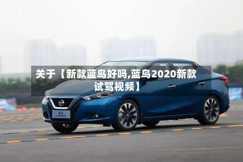 关于【新款蓝鸟好吗,蓝鸟2020新款试驾视频】-第3张图片