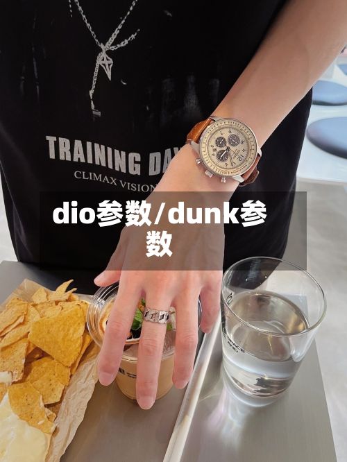 dio参数/dunk参数-第2张图片